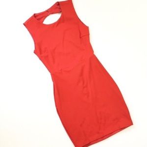 Lulus open back dress